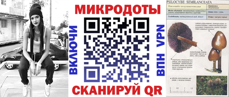 Псилоцибиновые грибы Psilocybe Артём